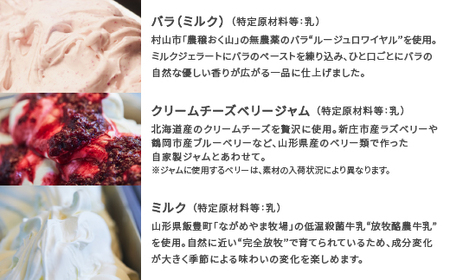ジェラート おすすめ 6個 セット 手作り アイス 国産 詰め合わせ cb-gesxx6