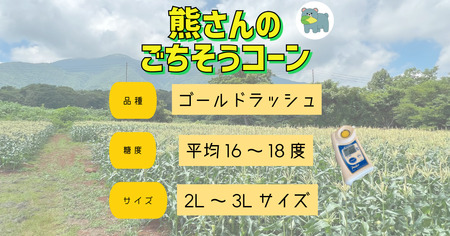 【 冷蔵 クール 】 朝採り トウモロコシ 熊さんのごちそうコーン 20本 ～ 22本 品種 ゴールドラッシュ 合同会社TAMAI WINE　配送先は本州限定 2026年7月下旬頃から2026年8月下旬頃までお申込み順に発送予定まで順次発送予定 令和8年度収穫分 信州 野菜 とうもろこし コーン 長野 予約 農家直送 長野県 飯綱町 [1787]