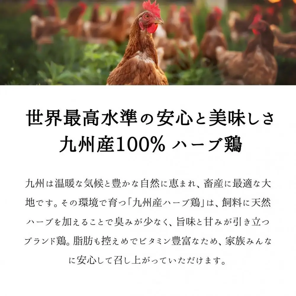 福岡発！ローストチキン専門店の丸鶏＜秘伝の蜂蜜醤油タレ＞ | 肉 お肉 にく 食品 九州産 人気 おすすめ 送料無料 ギフト