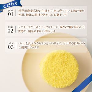 二層の贅沢チーズケーキ チーズケーキ チーズケーキ チーズケーキ 父の日 J88_02
