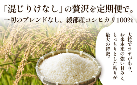 【定期便6回】 丹波美人 白米 10kg（5kg×2）×6回 | 米 お米 こしひかり 白米 精米