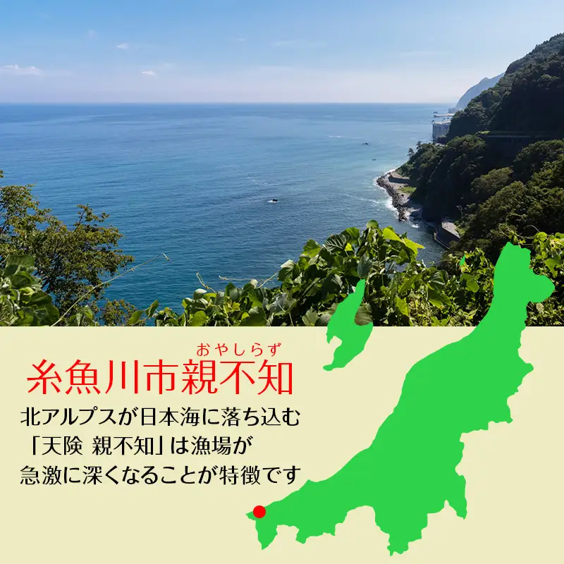 【日本海直送】紅ズワイガニ (400g)2杯 800ｇ鮮度抜群！蒸しガニ ベニズワイガニ 親不知おさかなセンター【紅ズワイガニ かに カニ ズワイガニ 紅ずわいがに】