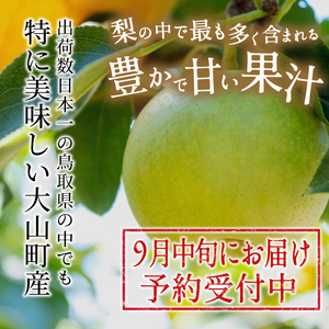 DS-24　二十世紀梨　3kg