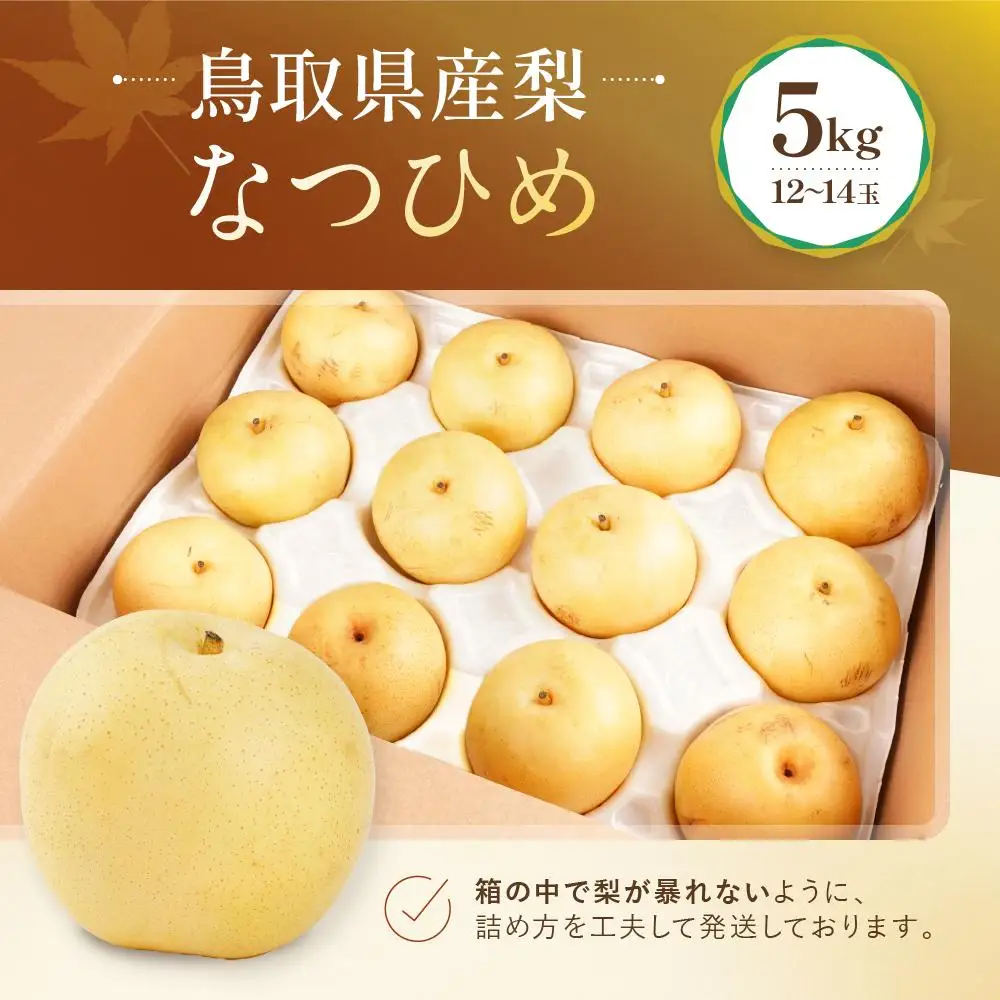 数量限定 鳥取県産梨 なつひめ 5kg（12～14玉）|梨