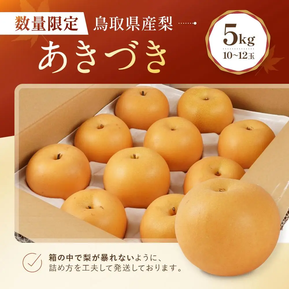 数量限定 鳥取県産梨 あきづき 5kg（10～12玉）|梨