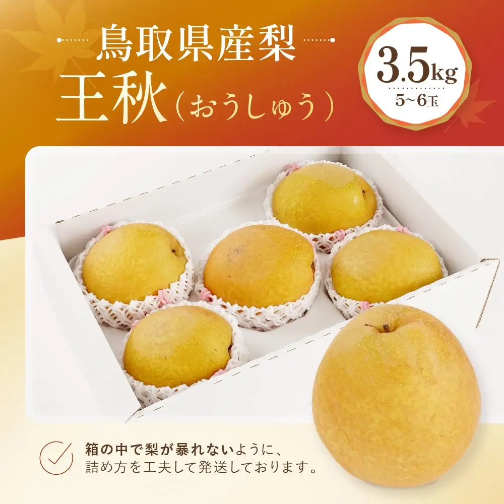 【先行予約】数量限定 鳥取県産梨 王秋（おうしゅう） 3.5kg（5～6玉）