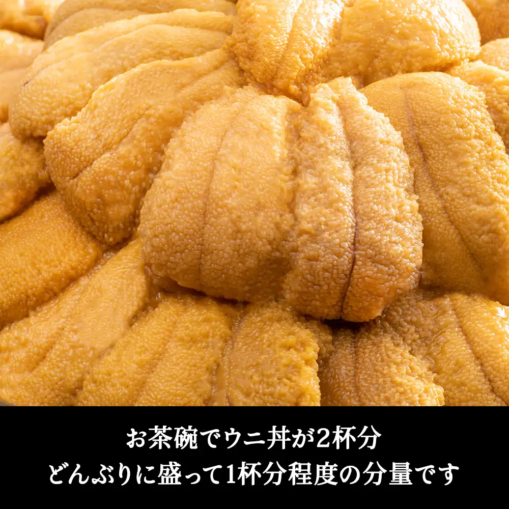 【先行予約】『天然刺身用』北むらさきウニ 120g ウニ 刺身 海鮮【配送不可地域：離島・沖縄県】