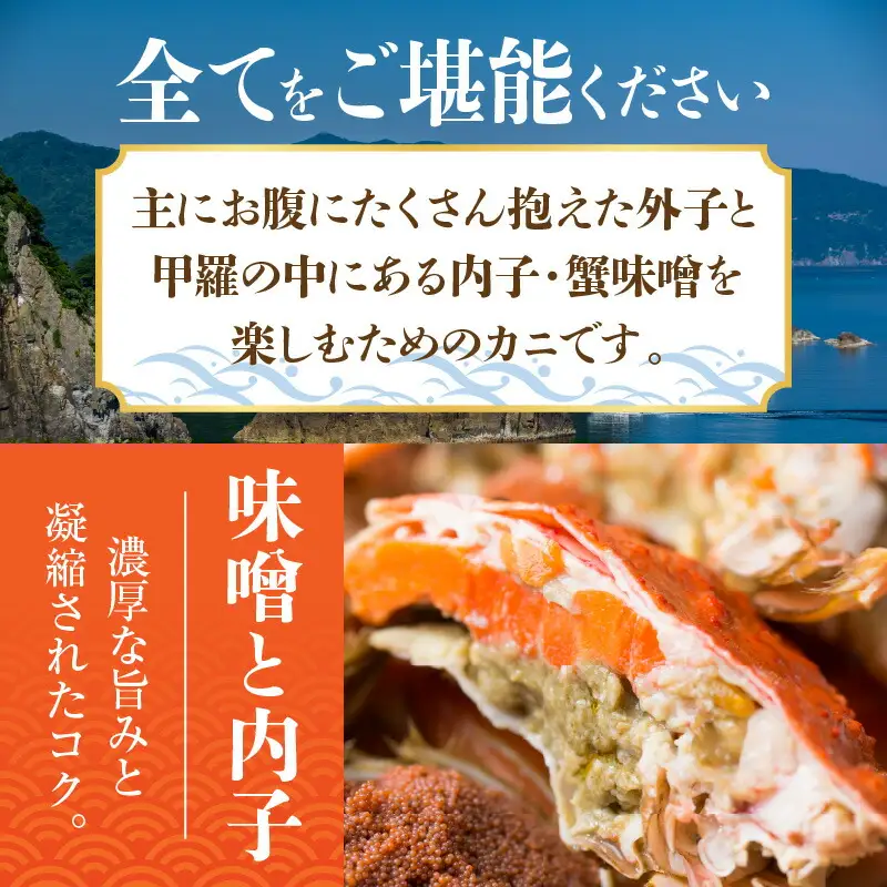 【訳あり】 ボイル セコガニ 8匹 計1kg カニ 44-02