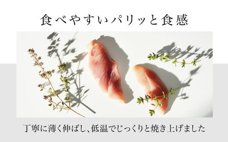 【12回定期便】犬用おやつ 岐阜県産ささみジャーキー 3個セット【ONEFOR】[MGL008]