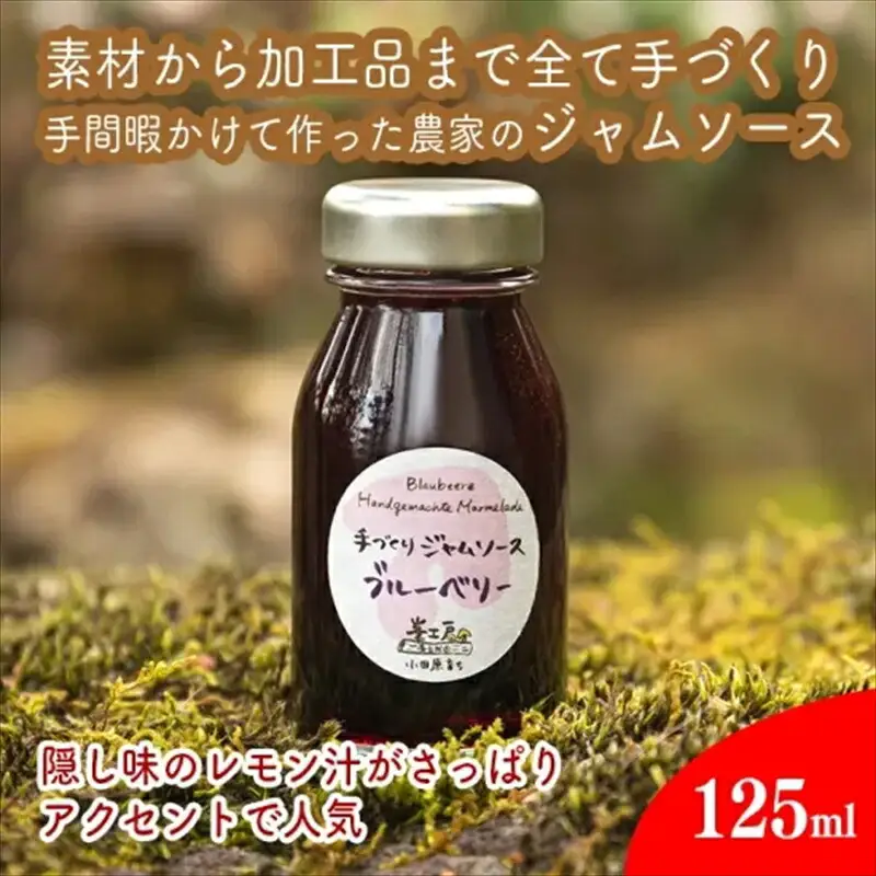 手づくりジャムソース 8本セット 手作りみかん キウイ あまなつ ブルーベリー 125ml 詰め合わせ ギフト 【 家庭用 自宅用 贈答品 贈答用 ギフト お取り寄せ お中元 お歳暮 贈り物 お祝い 神奈川県 小田原市 ジャム ジャム】