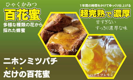 はちみつ 日本蜜蜂 百花蜜 500g B120-080 はちみつ 国産