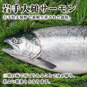 【2026年7月以降発送】【大槌サーモン】定塩・塩切身約1.6kg (4～5切入り 真空パック×4パック)