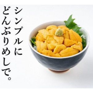 三陸産生うに 瓶詰100g×3本【令和8年6月発送】【配送日指定不可】【35】