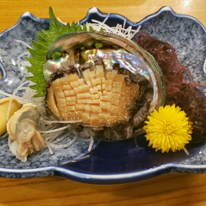 【※訳あり※】【11月～12月発送】三陸産！活アワビ 約1kg (6～10個)【数量限定】【08】｜冷蔵 三陸 岩手県 大槌町 あわび 人気 鮑 いわて iwate 2026 魚貝 鮮度抜群【配送日・曜日指定不可】