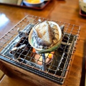 【2026年11月～12月発送】アワビ 約3kg (20個前後) ※アワビヘラ＆軍手付き※【期間限定】【35】｜冷蔵 三陸 岩手県 大槌町 あわび 人気 鮑 刺身 いわて iwate 2026 初栄丸