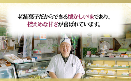 むかわ竜どら焼き 5個入り カムイサウルス ケーキショップおのでら MKWO002