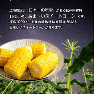 【先行予約】浪合スイートコーン | 野菜 とうもろこし トウモロコシ コーン 信州 長野