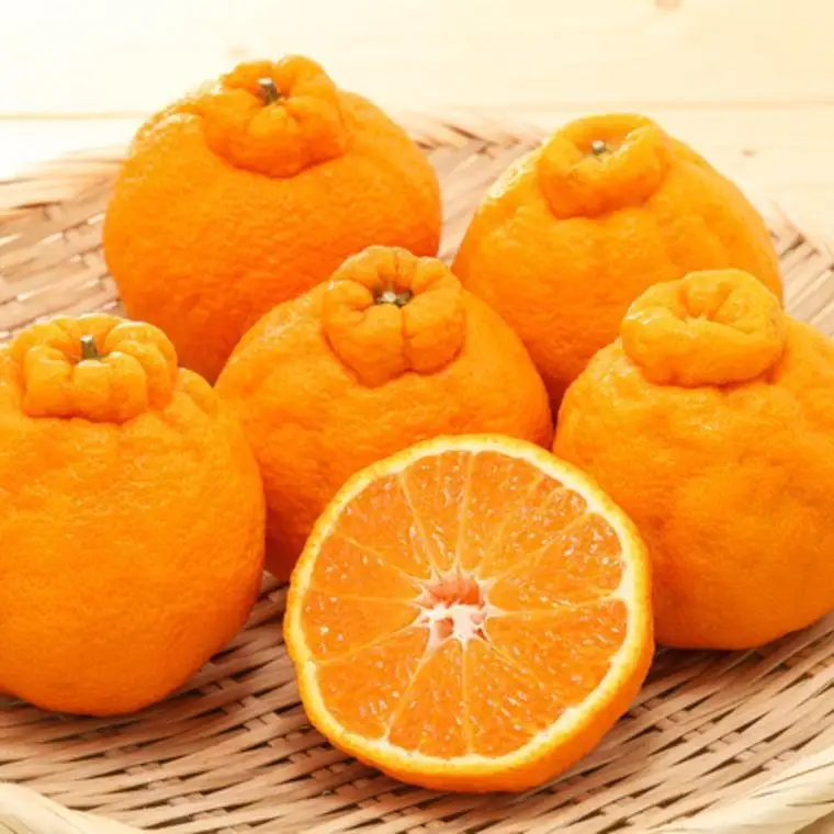 和歌山県産不知火約4kg（サイズ混合）★2027年2月下旬頃より順次発送［TM130］