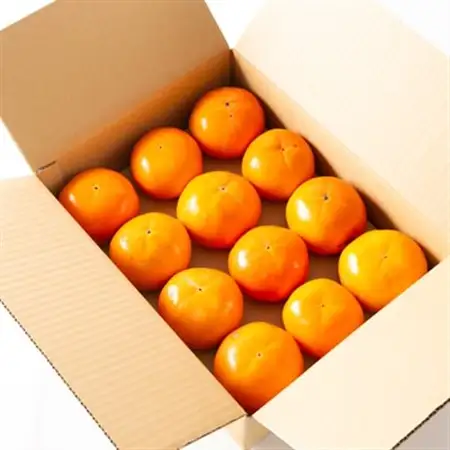 和歌山県産　美濃農園の富有柿　ご家庭用　12個(2Lサイズ程度)_果物・フルーツ 柿（カキ）  かき_【配送不可地域：離島・北海道・沖縄県】【1253533】