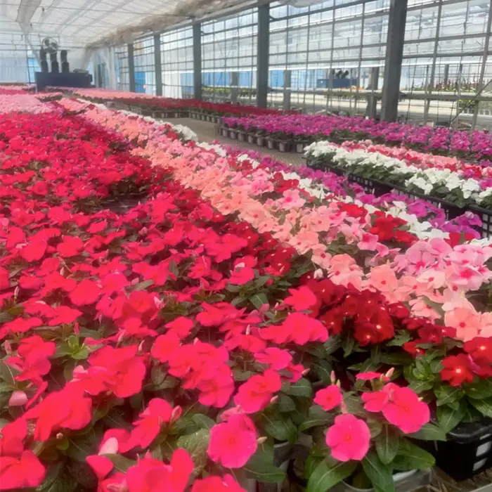 【季節の寄植えリース】ウォームセレクト＊花工房すなが＊ No.147