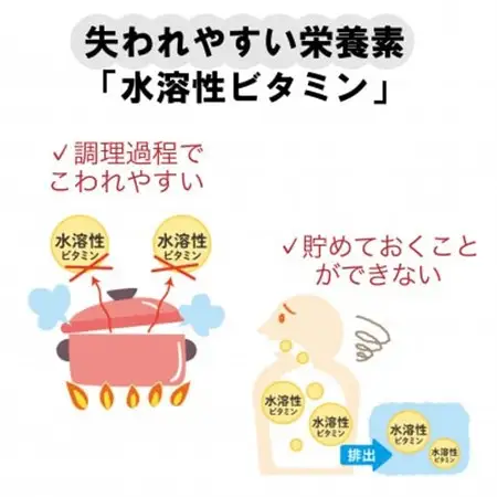 DHC 持続型ビタミンBミックス 30日分 9個セット(270日分)【1499702】