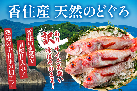訳あり のどぐろ 中サイズ 5匹  冷凍 ノドグロ あかむつ アカムツ 33-30
