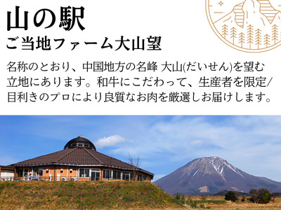 鳥取和牛サーロインステーキ2枚 計500g 鳥取県産 ご当地ファーム大山望 MK10 1001