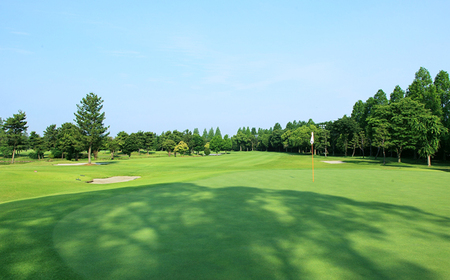 鴻巣カントリークラブ ゴルフプレー利用券D（プレー補助利用券） No.218