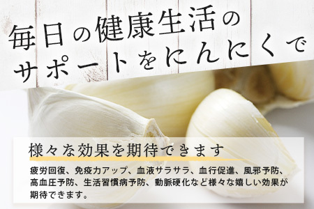 【数量限定】元気、活力、健康の源に！！佐賀県鹿島市産　こだわり乾燥にんにく　200g（100g×2袋）　AA-50