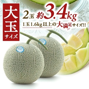 SZ0324　砂丘育ちの甘えんぼう「青肉メロン」　計3.2kg以上(2玉入つる付き)