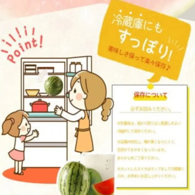 紀州和歌山産小玉スイカ「ひとりじめ」２玉【予約】※2026年6月上旬頃～7月上旬頃に順次発送予定(お届け日指定不可) スイカ すいか 果物【uot779A】