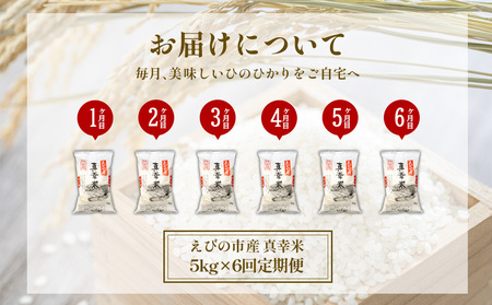 【令和7年度】【6回定期便】限定品 えびの産 ヒノヒカリ 真幸米(まさきまい) 5kg×6ヶ月 合計30kg 定期便 米 ひのひかり お米 精米 白米 宮崎県産 九州産 送料無料 こめ おにぎり お弁当