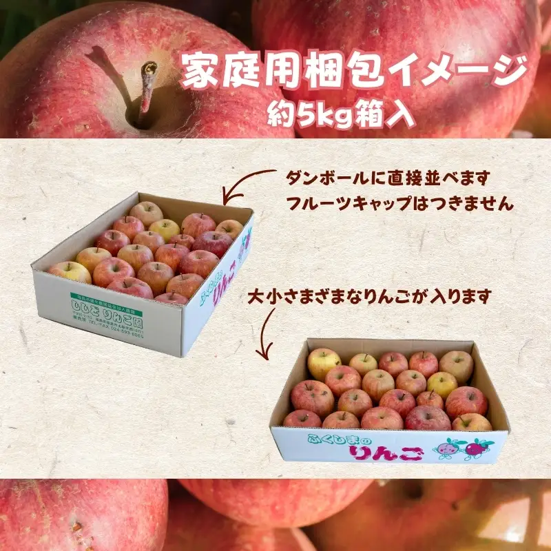 No.2763 りんご「サンふじ」家庭用　約5kg箱入【2026年度発送】
