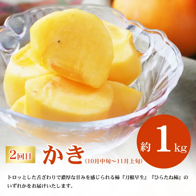 No.2866福島のフルーツ定期便２種【2026年発送 先行予約】