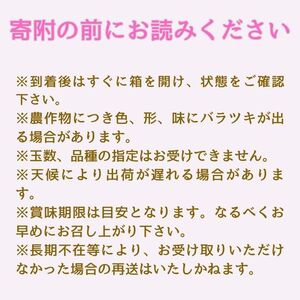 【訳あり】旬の桃「あかつき」または「なつっこ」どちらか3kg＜2026年7月下旬より発送＞