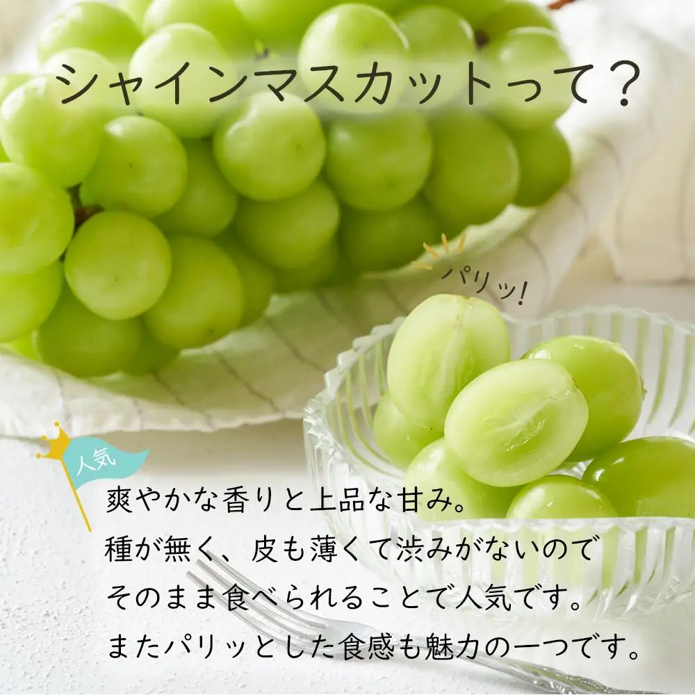 岡山県産 ぶどう 2026年発送 ご家庭用 シャインマスカット 晴王 約2kg（3～6房）フルーツ 果物 | シャインマスカット