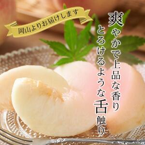 2026年 先行受付 岡山県産 白桃  ロイヤル 約1kg 4～6玉 桃