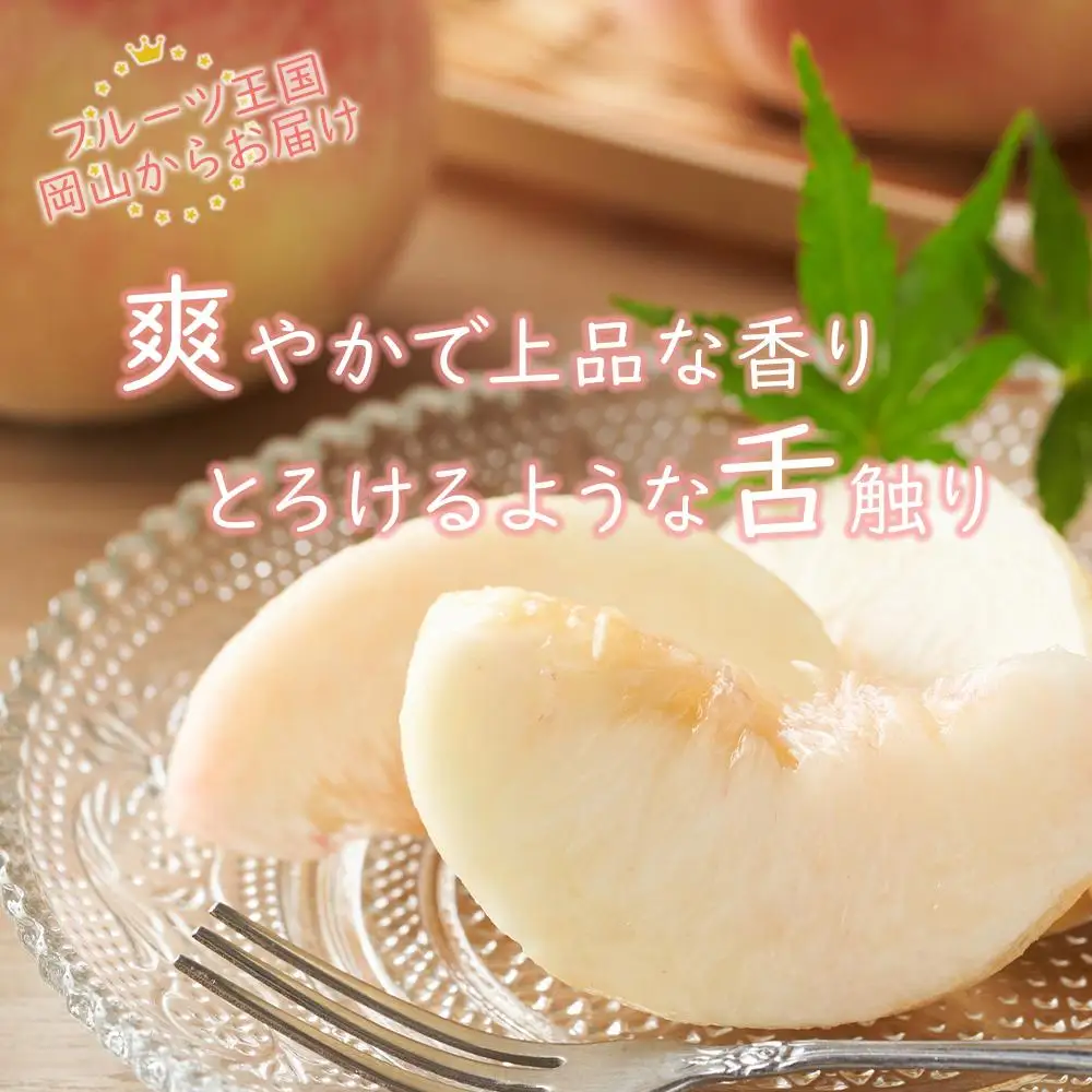 2026年 先行予約 岡山県産   白 桃   エース 約1.2kg（4～8玉）｜ 桃