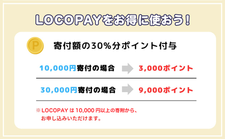 LOCOPAYデジタル返礼ポイント【3,000ポイント】_B167-001