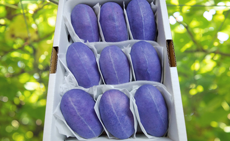 あけび １kg 半紙包み 6～9個 L～2L 秀品 【2026年9月中旬～発送】 山形県 朝日町産 山形産 アケビ フルーツ 果物 郷土料理 食物繊維 秋