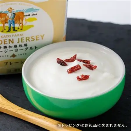 【毎月定期便】ゴールデンジャージーヨーグルト 450g×4個 北海道 十勝 加藤牧場全12回_卵・乳製品 ヨーグルト    定期便 定期便  _【配送不可地域：離島】【4013282】