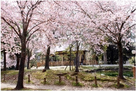 宿泊券 江戸三 1泊2食付宿泊券（2名様1室） チケット 奈良公園 C-37
