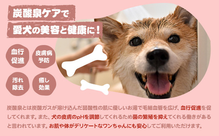 トリミング チケット 4,000円分