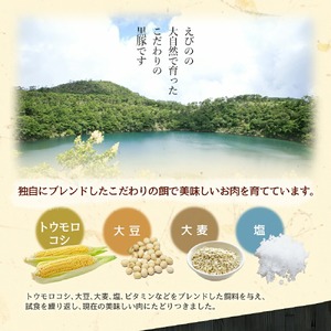 えびの純粋 黒豚 お肉セット (肩ロース368g・ロース300g) 合計668g 焼肉 鉄板焼き サムギョプサルギフト 贈り物 お礼 お祝い 高級 宮崎県 えびの市産 冷凍 送料無料