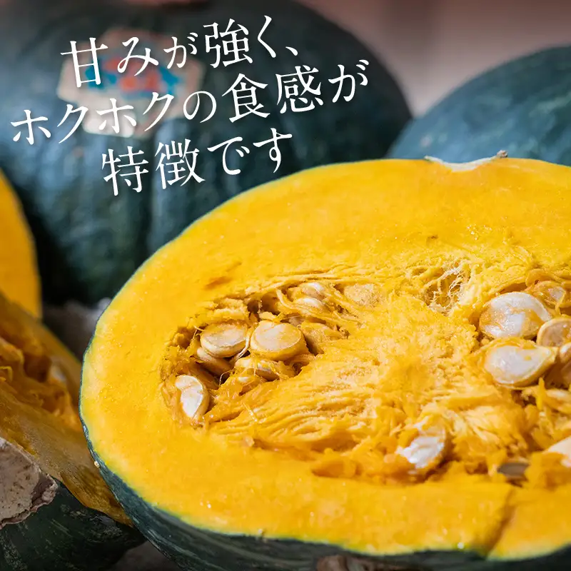【先行予約】みやこかぼちゃ 約4.5kg（2～3玉） 北海道森町産 （令和8年7月下旬～8月上旬順次配送） ＜こうのファーム＞ カボチャ 南瓜 野菜 根菜 煮物 食材 スープ mr1-1416