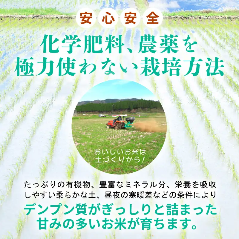 【先行予約】令和8年産 新米  幻のもち米 タンチョウ もち米 3kg（精米）【10月中旬以降発送】 [e35-a062]