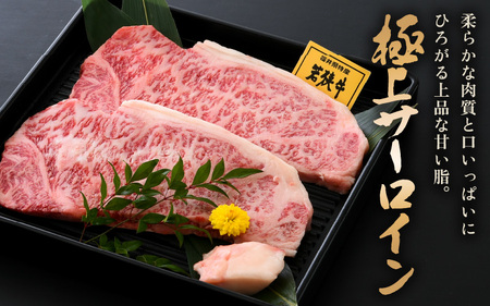 若狭牛 極上 サーロインステーキ 400g (200g×2枚）【牛肉 肉】 [m15-b001]