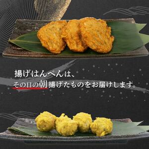 練り物 厳選 詰め合わせ 【 静岡県知事賞受賞】 冷凍 練り物
