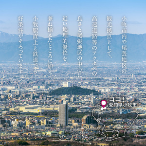 小牧市観光や出張にオススメ　1泊朝食付き宿泊券（シングル）[018M10]