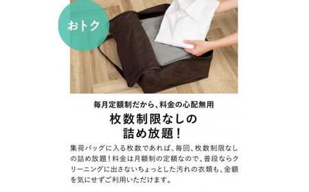 LIB-1.【宅配クリーニングの定期便】クリーニング《詰め放題》月１回コース　１年分(12回利用)